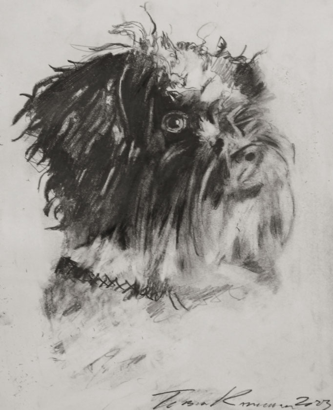 Limo Pope 11x14-graphite