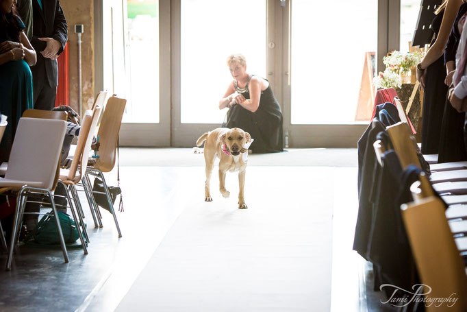 Hochzeit mit Hund im Lokschuppen