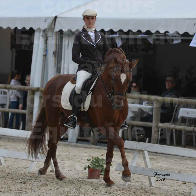 Salon Equitaine de Bordeaux 2015 - Concours d'Equitation de Travail avec chevaux Ibériques - A - 5