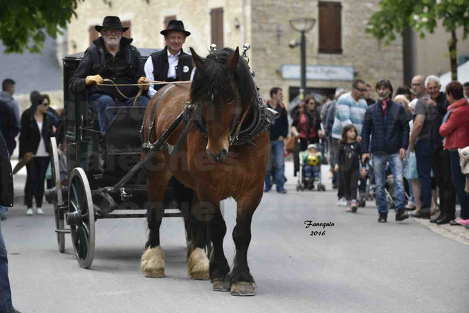 Défilé de calèches de 1900 dans les rues de Villeneuve d'Aveyron le 15 mai 2016 - Attelage simple de cheval lourd - calèche 4 roues roues fermé - 