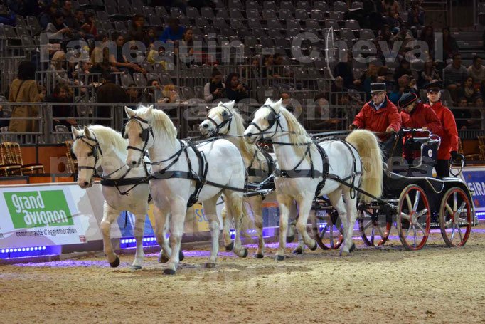 Cheval Passion 2014 - Attelage Team (4 chevaux) de chevaux CAMARGUE du Haras National d'UZES