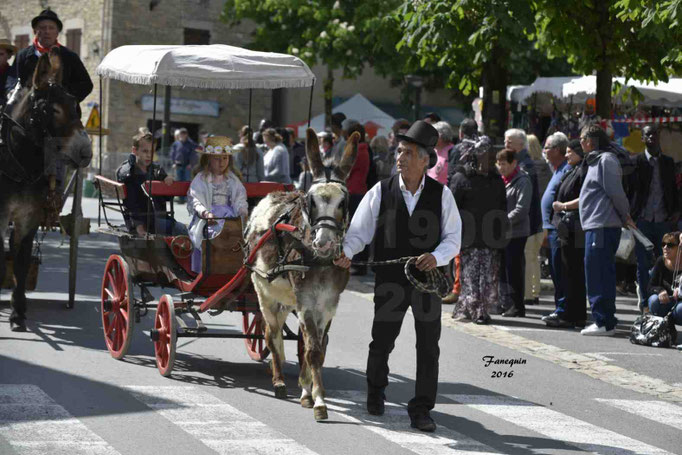 Défilé de calèches de 1900 dans les rues de Villeneuve d'Aveyron le 15 mai 2016 - Attelage simple d'un âne pie - 1