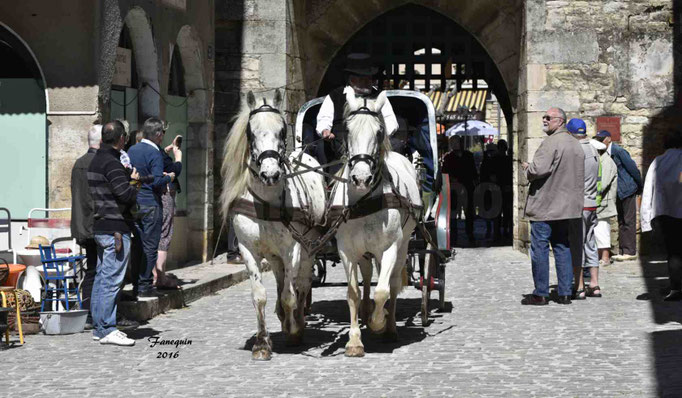 Défilé de calèches de 1900 dans les rues de Villeneuve d'Aveyron le 15 mai 2016 - Attelage en paire chevaux APPALOOSA - calèche 4 roues  - 7