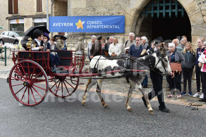 Défilé de calèches anciennes dans les rues de Villeneuve d'Aveyron  le 09 Juin 2019 - Âne pie & calèche 2 roues