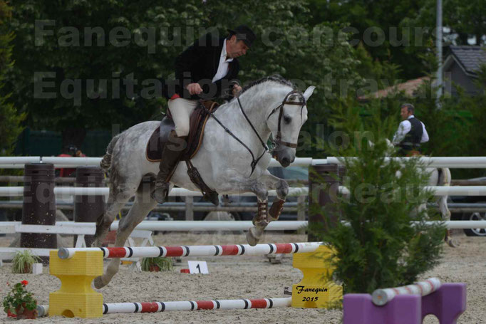 Salon équitaine de Bordeaux 2015 - équitation de travail - Obstacle