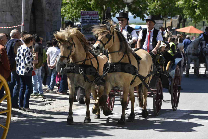 Défilé de calèches de 1900 dans les rues de Villeneuve d'Aveyron le 15 mai 2016 - Attelage paire de poneys - 6