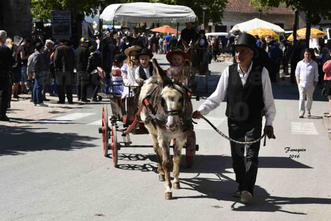 Défilé de calèches de 1900 dans les rues de Villeneuve d'Aveyron le 15 mai 2016 - Attelage simple d'un âne pie - 5