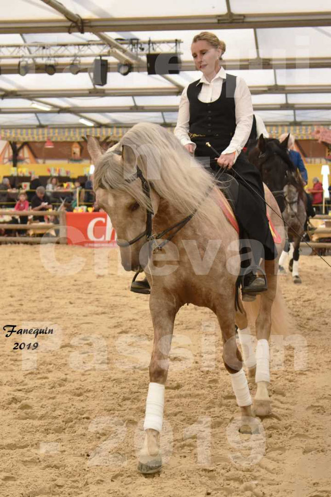 Cheval Passion 2019 - LA FINCA SAINT GILLES - dans le Cabaret Équestre - 18