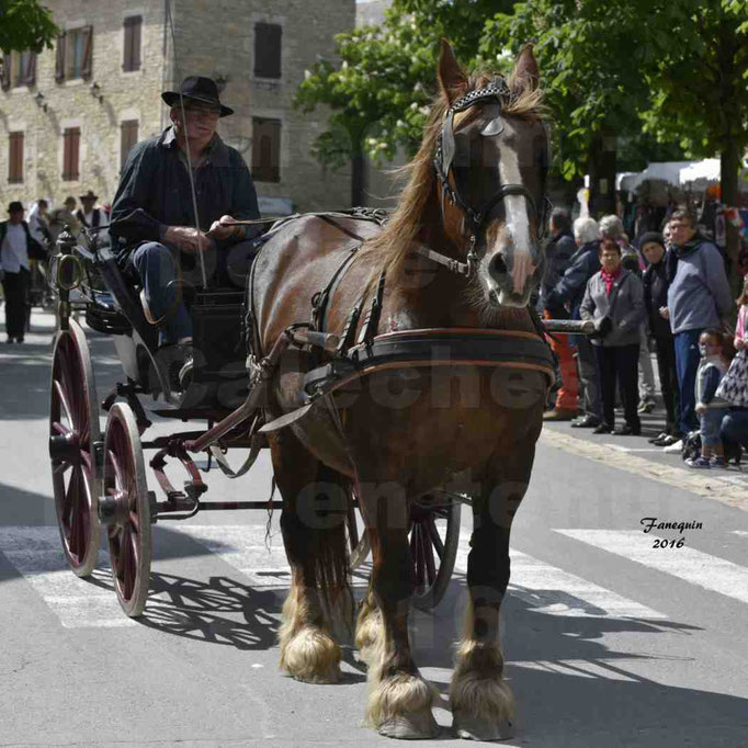 Défilé de calèches de 1900 dans les rues de Villeneuve d'Aveyron le 15 mai 2016 - Attelage simple de cheval lourd - calèche 4 roues roues rouge - 2