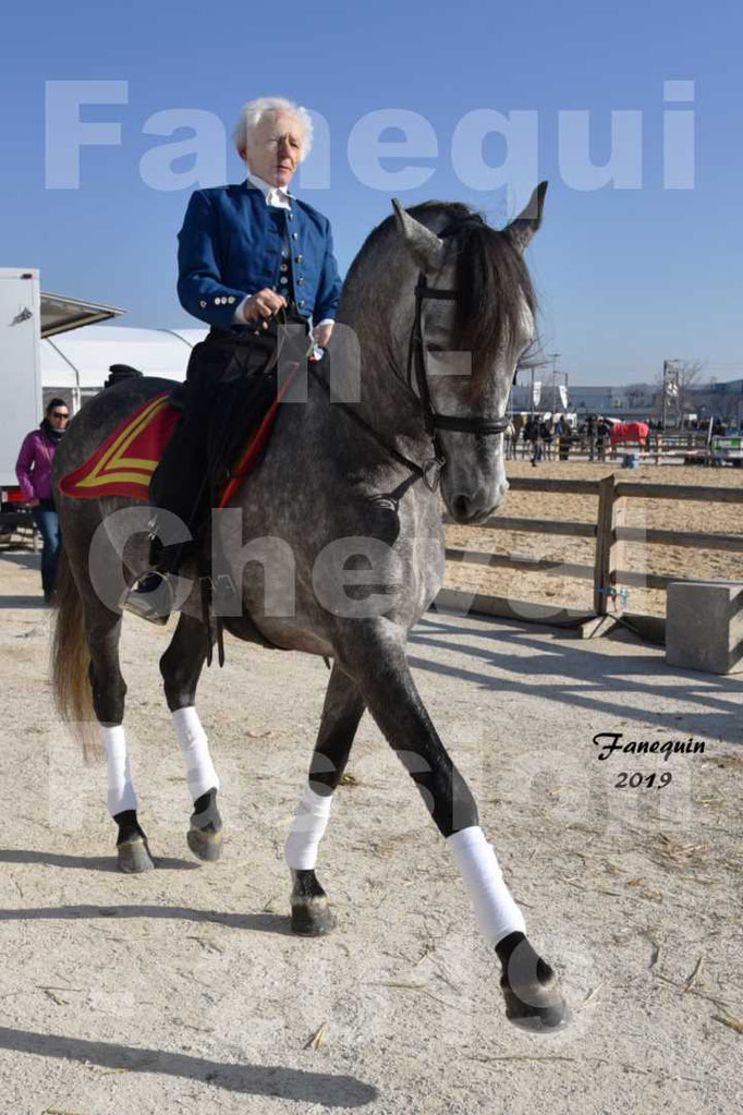 Cheval Passion 2019 - LA FINCA SAINT GILLES - Mr Alain LAUZIER - 10