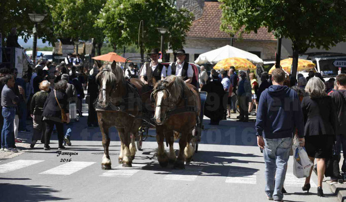 Défilé de calèches de 1900 dans les rues de Villeneuve d'Aveyron le 15 mai 2016 - Attelage en paire chevaux lourds - calèche 4 roues vis à vis - 7