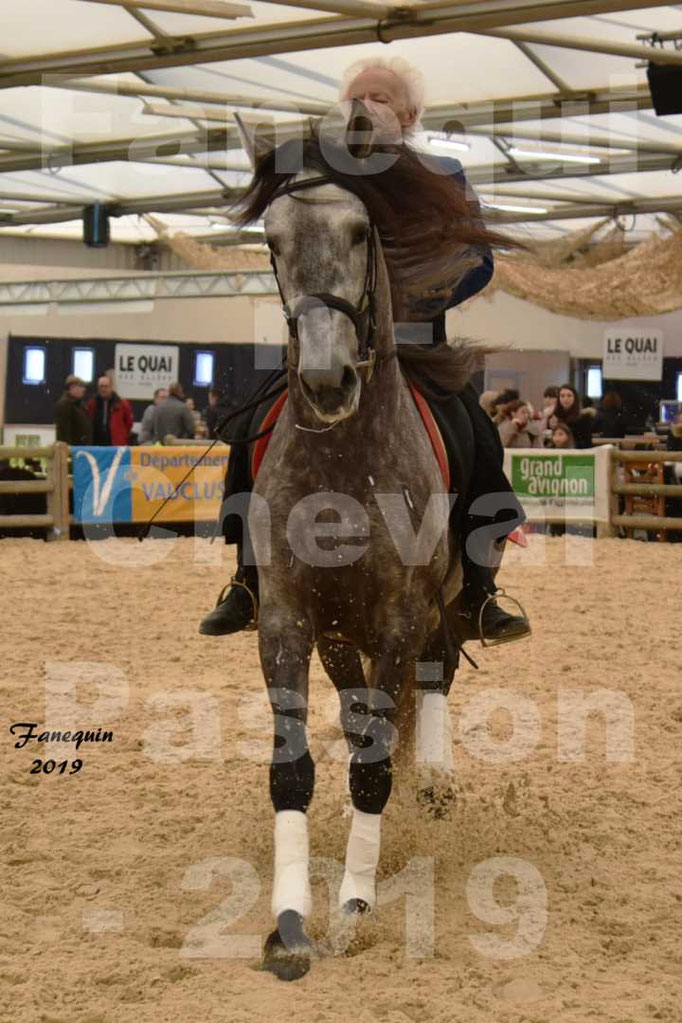 Cheval Passion 2019 - LA FINCA SAINT GILLES - dans le Cabaret Équestre - 37