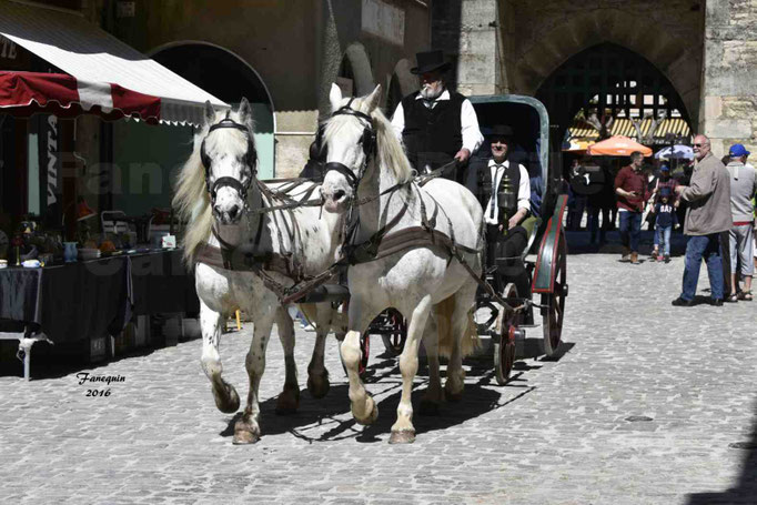 Défilé de calèches de 1900 dans les rues de Villeneuve d'Aveyron le 15 mai 2016 - Attelage en paire chevaux APPALOOSA - calèche 4 roues  - 9