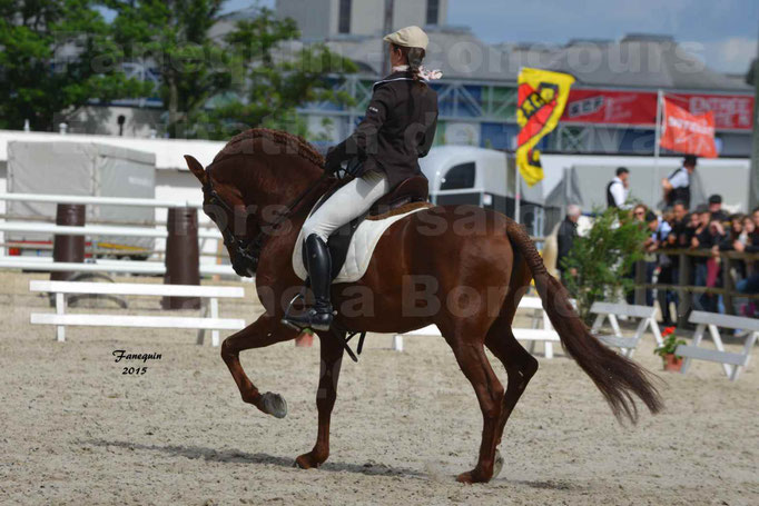 Salon Equitaine de Bordeaux 2015 - Concours d'Equitation de Travail avec chevaux Ibériques - A - 2