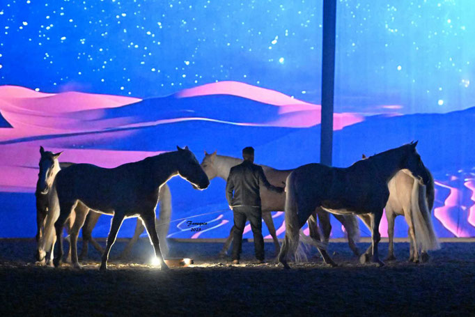 CHEVAL PASSION 2025 - Spectacle des Crinières d'OR - Vincent LIBERATOR