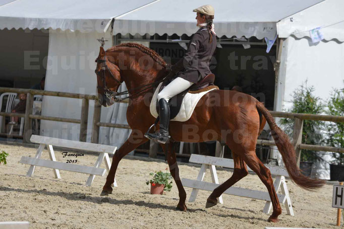Salon Equitaine de Bordeaux 2015 - Concours d'Equitation de Travail avec chevaux Ibériques - A - 1