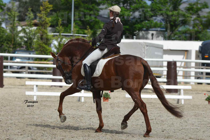 Salon Equitaine de Bordeaux 2015 - Concours d'Equitation de Travail avec chevaux Ibériques - A - 3