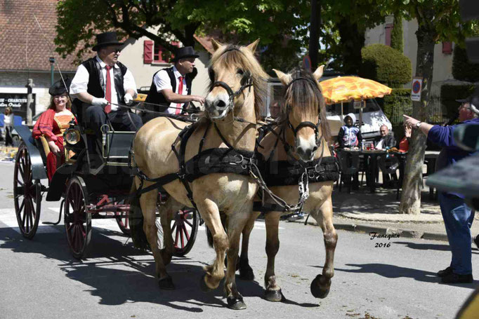 Défilé de calèches de 1900 dans les rues de Villeneuve d'Aveyron le 15 mai 2016 - Attelage paire de poneys - 4