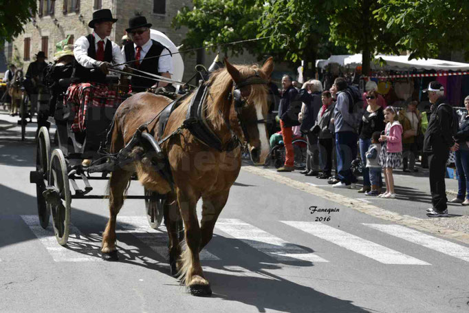 Défilé de calèches de 1900 dans les rues de Villeneuve d'Aveyron le 15 mai 2016 - Attelage simple de cheval lourd - calèche 4 roues sans capote - 1