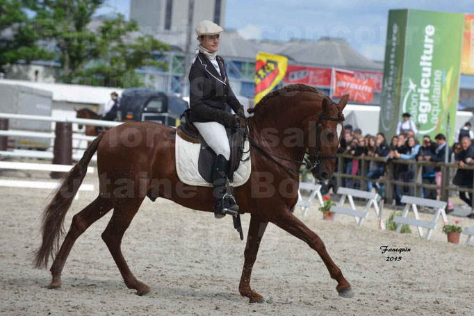 Salon Equitaine de Bordeaux 2015 - Concours d'Equitation de Travail avec chevaux Ibériques - A - 4