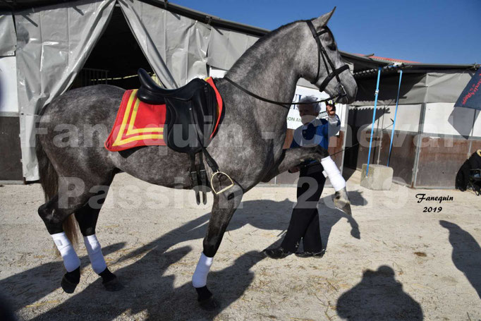Cheval Passion 2019 - LA FINCA SAINT GILLES - Mr Alain LAUZIER - 07