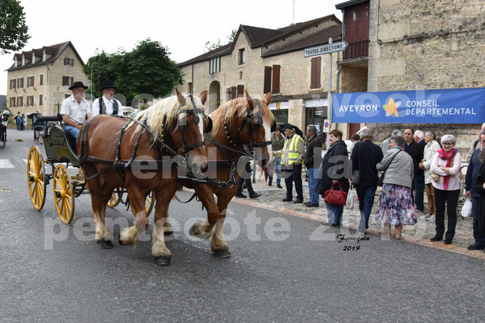 Défilé de calèches anciennes dans les rues de Villeneuve d'Aveyron  le 09 Juin 2019 - Chevaux en paire trait