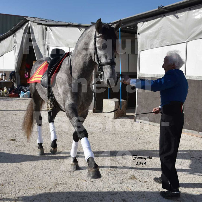 Cheval Passion 2019 - LA FINCA SAINT GILLES - Mr Alain LAUZIER - 06