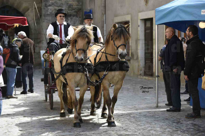 Défilé de calèches de 1900 dans les rues de Villeneuve d'Aveyron le 15 mai 2016 - Attelage paire de poneys - 3
