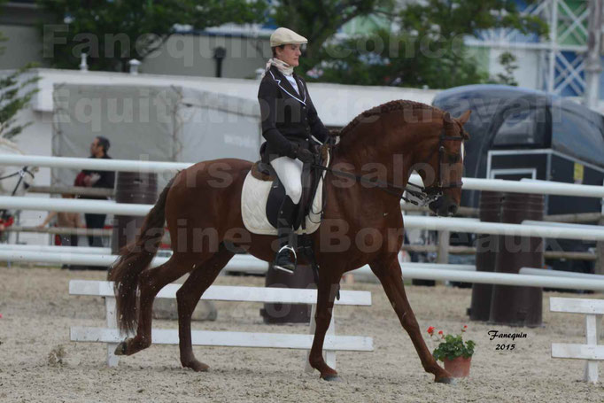 Salon Equitaine de Bordeaux 2015 - Concours d'Equitation de Travail avec chevaux Ibériques - A - 6