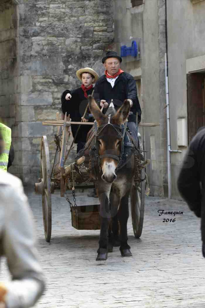 Défilé de calèches de 1900 dans les rues de Villeneuve d'Aveyron le 15 mai 2016 - Attelage simple d'un âne grand - 1