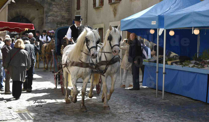 Défilé de calèches de 1900 dans les rues de Villeneuve d'Aveyron le 15 mai 2016 - Attelage en paire chevaux APPALOOSA - calèche 4 roues  - 2