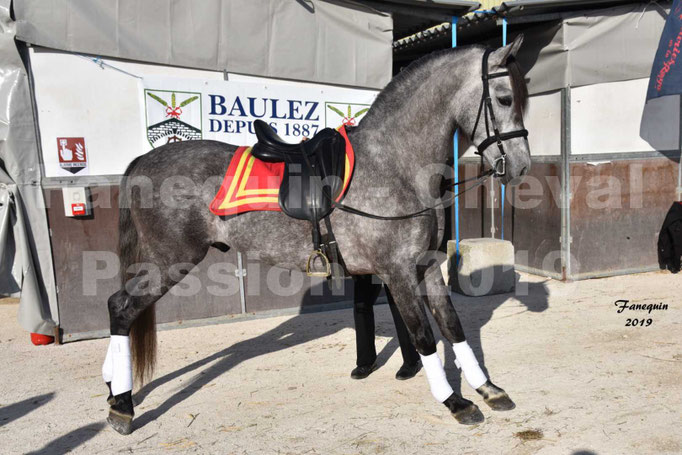 Cheval Passion 2019 - LA FINCA SAINT GILLES - Mr Alain LAUZIER - 04