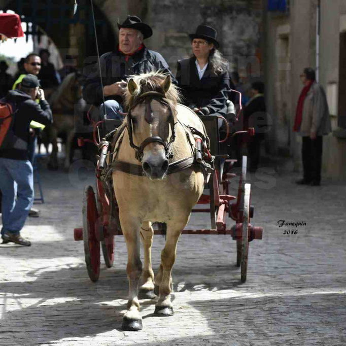 Défilé de calèches de 1900 dans les rues de Villeneuve d'Aveyron le 15 mai 2016 - Attelage simple de poney - calèche 4 roues - 1