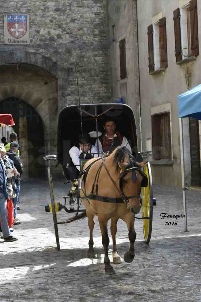 Défilé de calèches de 1900 dans les rues de Villeneuve d'Aveyron le 15 mai 2016 - Attelage simple de poney - calèche 2 roues - 2