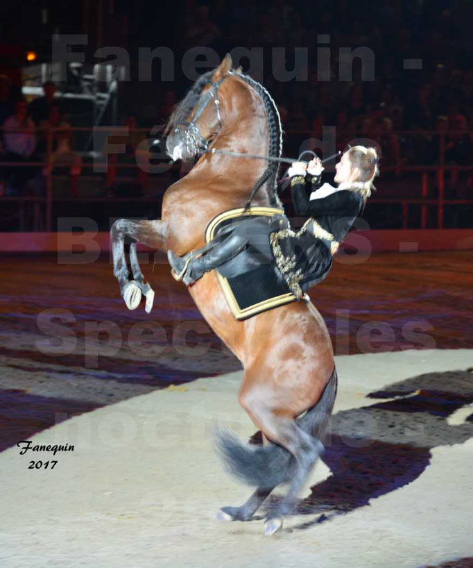 Féria de BEZIERS 2017 - Spectacle "Nuits Equestres" - 3