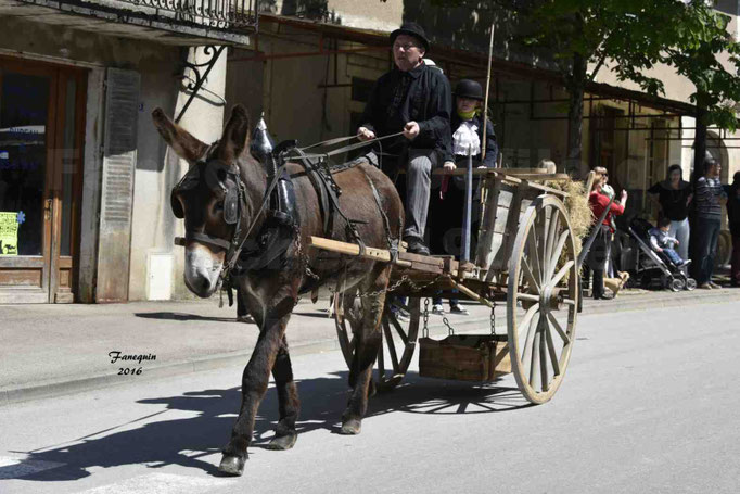 Défilé de calèches de 1900 dans les rues de Villeneuve d'Aveyron le 15 mai 2016 - Attelage simple d'un âne grand - 3