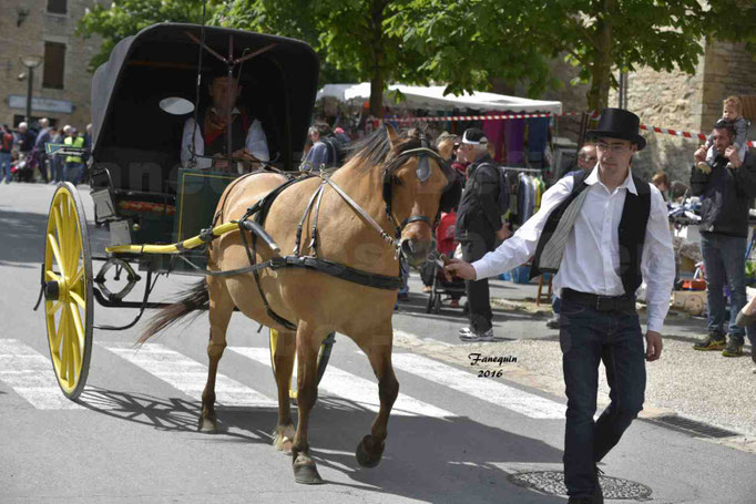 Défilé de calèches de 1900 dans les rues de Villeneuve d'Aveyron le 15 mai 2016 - Attelage simple de poney - calèche 2 roues - 1