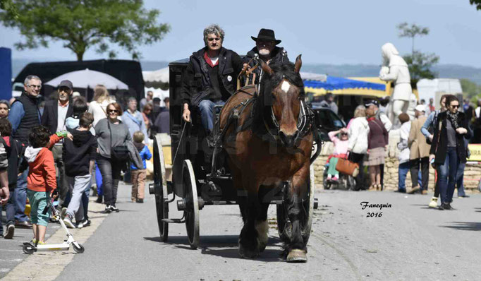 Défilé de calèches de 1900 dans les rues de Villeneuve d'Aveyron le 15 mai 2016 - Attelage simple de cheval lourd - calèche 4 roues roues fermé - 3