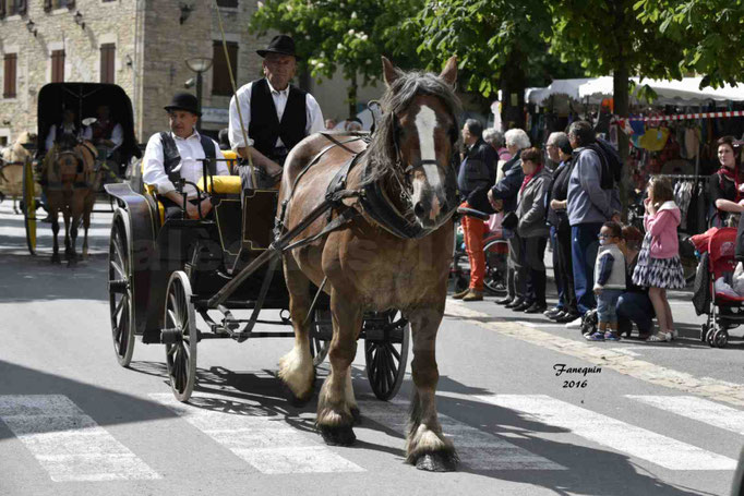 Défilé de calèches de 1900 dans les rues de Villeneuve d'Aveyron le 15 mai 2016 - Attelage simple de cheval lourd - calèche 4 roues roues Milord - 1