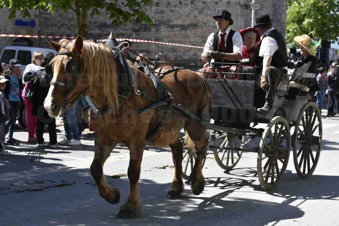 Défilé de calèches de 1900 dans les rues de Villeneuve d'Aveyron le 15 mai 2016 - Attelage simple de cheval lourd - calèche 4 roues sans capote - 5