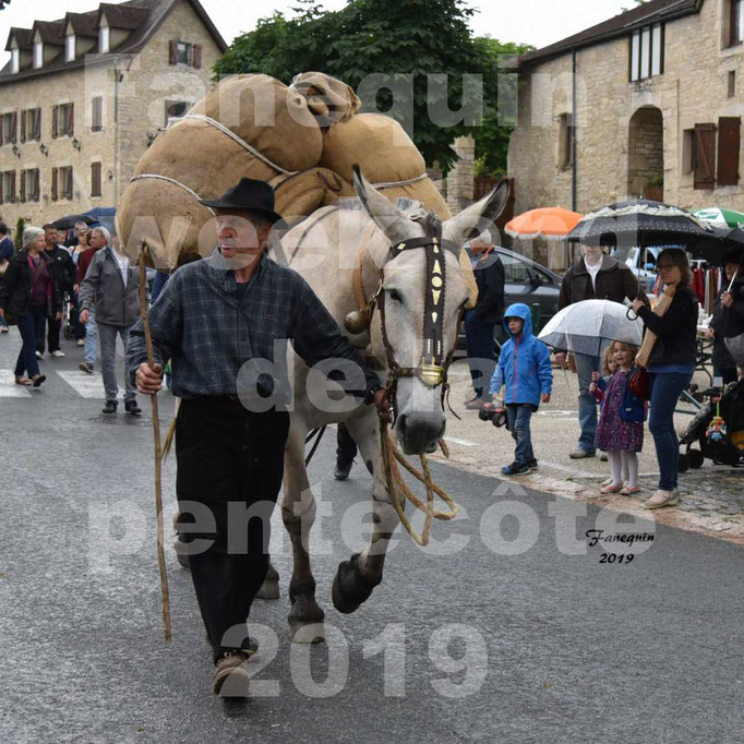 Défilé de calèches anciennes dans les rues de Villeneuve d'Aveyron  le 09 Juin 2019 - Mûle avec bat