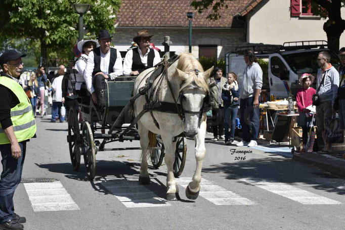 Défilé de calèches de 1900 dans les rues de Villeneuve d'Aveyron le 15 mai 2016 - Attelage simple de cheval lourd - calèche 4 roues sans capote - 3