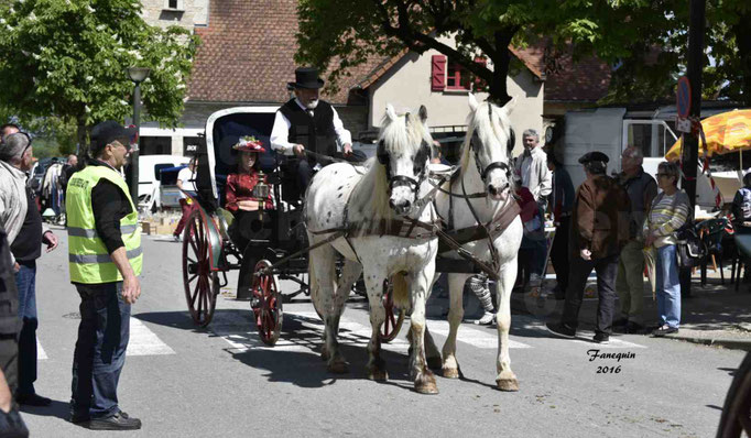 Défilé de calèches de 1900 dans les rues de Villeneuve d'Aveyron le 15 mai 2016 - Attelage en paire chevaux APPALOOSA - calèche 4 roues  - 3