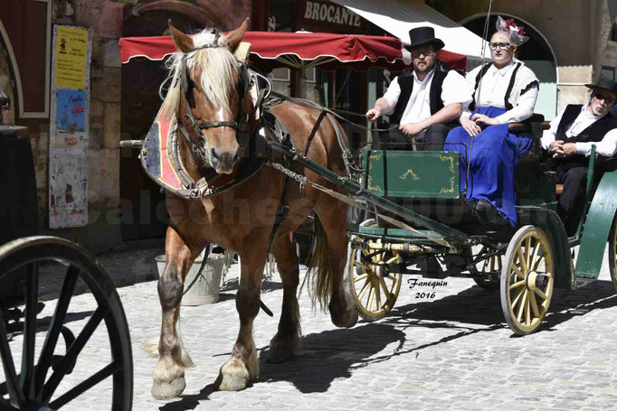Défilé de calèches de 1900 dans les rues de Villeneuve d'Aveyron le 15 mai 2016 - Attelage simple de cheval lourd - calèche 4 roues roues - 5