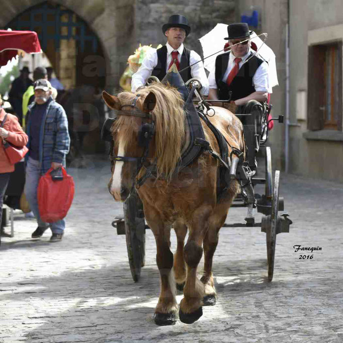 Défilé de calèches de 1900 dans les rues de Villeneuve d'Aveyron le 15 mai 2016 - Attelage simple de cheval lourd - calèche 4 roues sans capote - 2