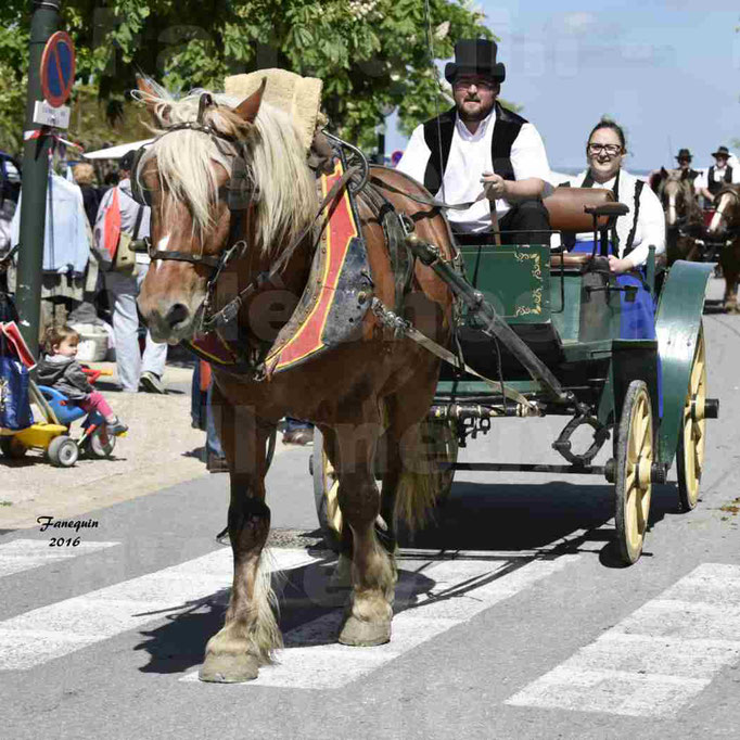 Défilé de calèches de 1900 dans les rues de Villeneuve d'Aveyron le 15 mai 2016 - Attelage simple de cheval lourd - calèche 4 roues roues - 3