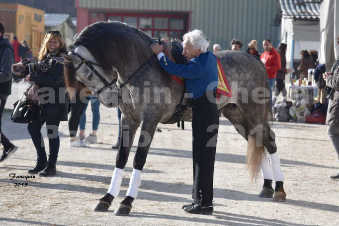 Cheval Passion 2019 - LA FINCA SAINT GILLES - Mr Alain LAUZIER - 02