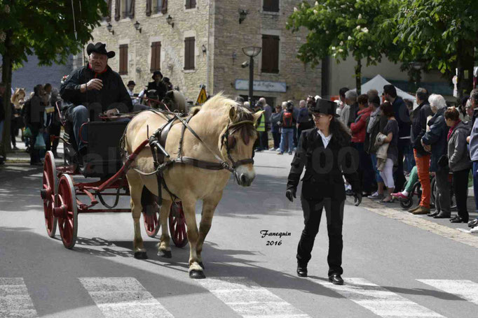 Défilé de calèches de 1900 dans les rues de Villeneuve d'Aveyron le 15 mai 2016 - Attelage simple de poney - calèche 4 roues - 5