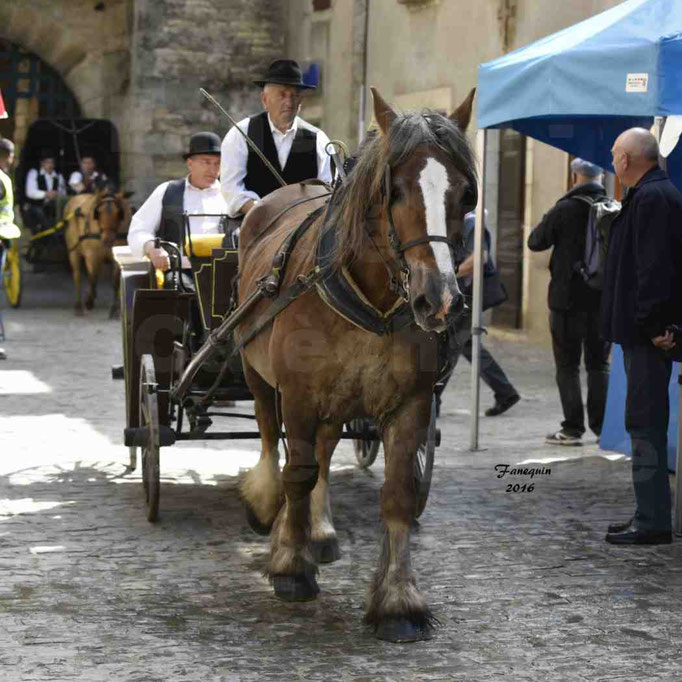 Défilé de calèches de 1900 dans les rues de Villeneuve d'Aveyron le 15 mai 2016 - Attelage simple de cheval lourd - calèche 4 roues roues Milord - 2