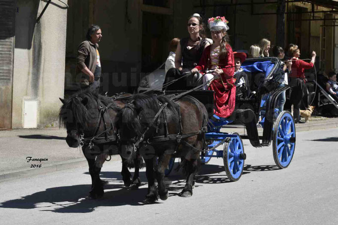 Défilé de calèches de 1900 dans les rues de Villeneuve d'Aveyron le 15 mai 2016 - Attelage paire de petit poneys Shetland - 5